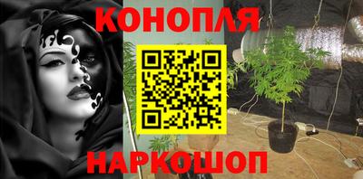 прущие крисы Северобайкальск