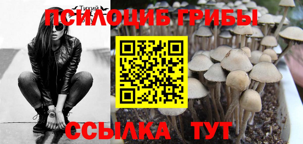 магазин  наркотиков  Вход с VPN  Октябрьский  Галлюциногенные грибы Psilocybe 